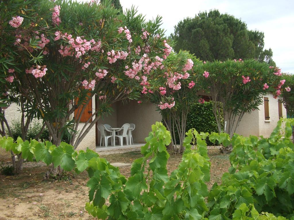 Espace Loisirs Ξενοδοχείο Saint-Martin-dʼArdèche Εξωτερικό φωτογραφία